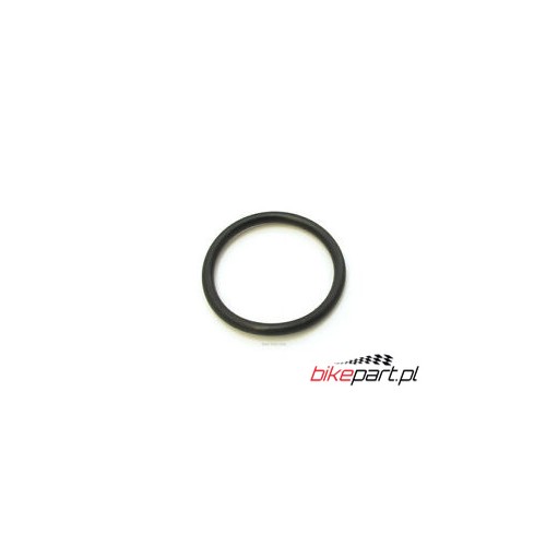 O-RING 30.8MM