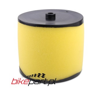 ELEMENT AIR CLEANER