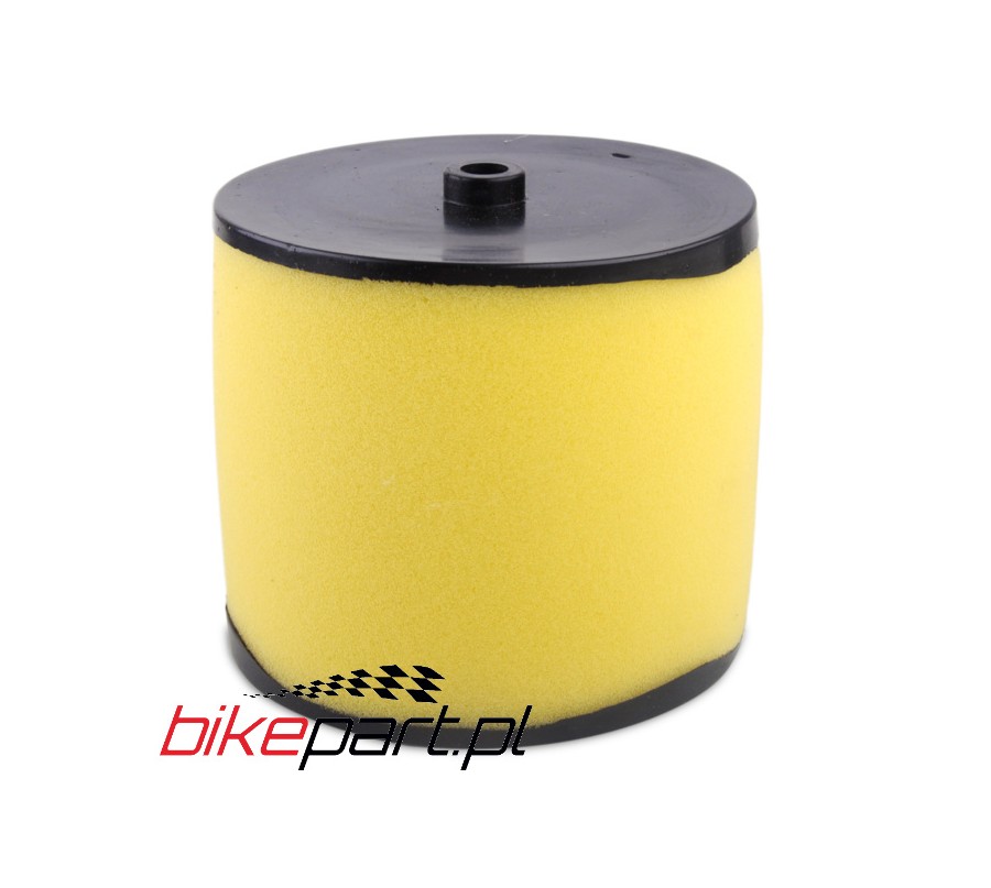 ELEMENT AIR CLEANER