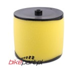 ELEMENT AIR CLEANER