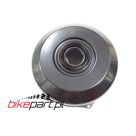HONDA TRX420 TRX500 BRAKE DRUM COVER OEM 40520HP0A00