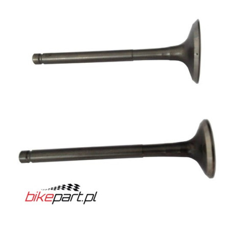 HONDA LEAD 110 NHX110 INTAKE VALVE 14711GFM900