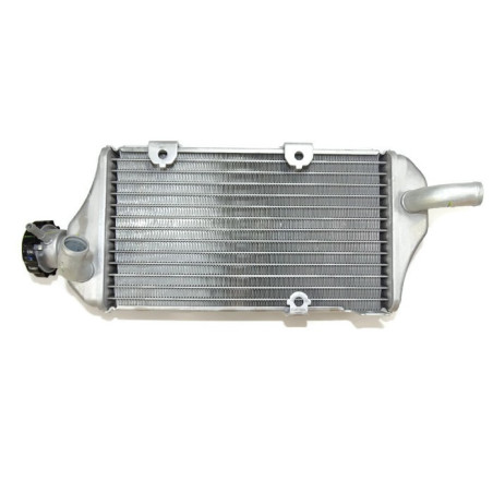 HONDA CRF250L CRF250 RALLY NEW ORIGINAL WATER COOLER 19010KZZD11
