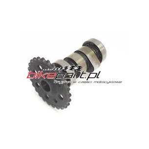 HONDA LEAD 110 NHX110 CAMSHAFT 14100GFMB20