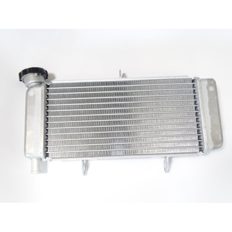 HONDA CBR250 CBR300 300F CHŁODNICA WODY NOWA OEM 19010KYJ305