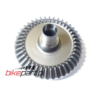 GEAR  RR. RING (41T)