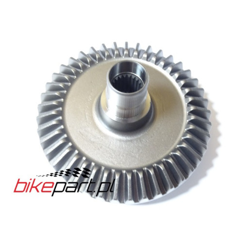 GEAR RR. RING (41T)