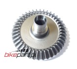GEAR RR. RING (41T)