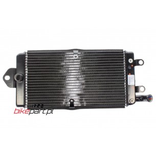 HONDA VODNÍ CHLADIČ VTX1800 19010MCH003