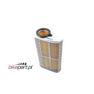ELEMENT AIR CLEANER