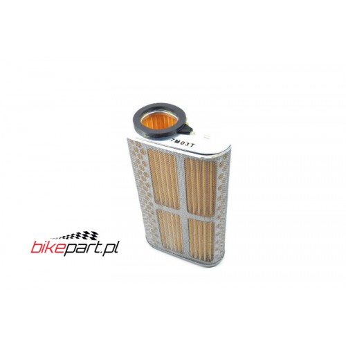 ELEMENT AIR CLEANER