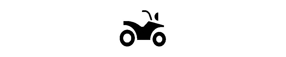 Honda quads